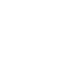 АО «Силовые Машины».